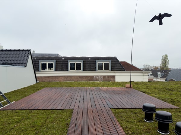 Medium property photo - Boomgaardhof, 3012 JJ Rotterdam